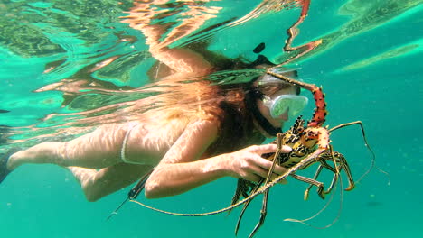 woman snorkeling and catching lobster