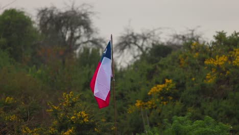 Bandera-Patriótica-Chilena-Ondeando-En-Castro,-Chiloé,-Sur-De-Chile.