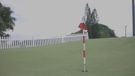 view from the ground over a golf course in perfect condition