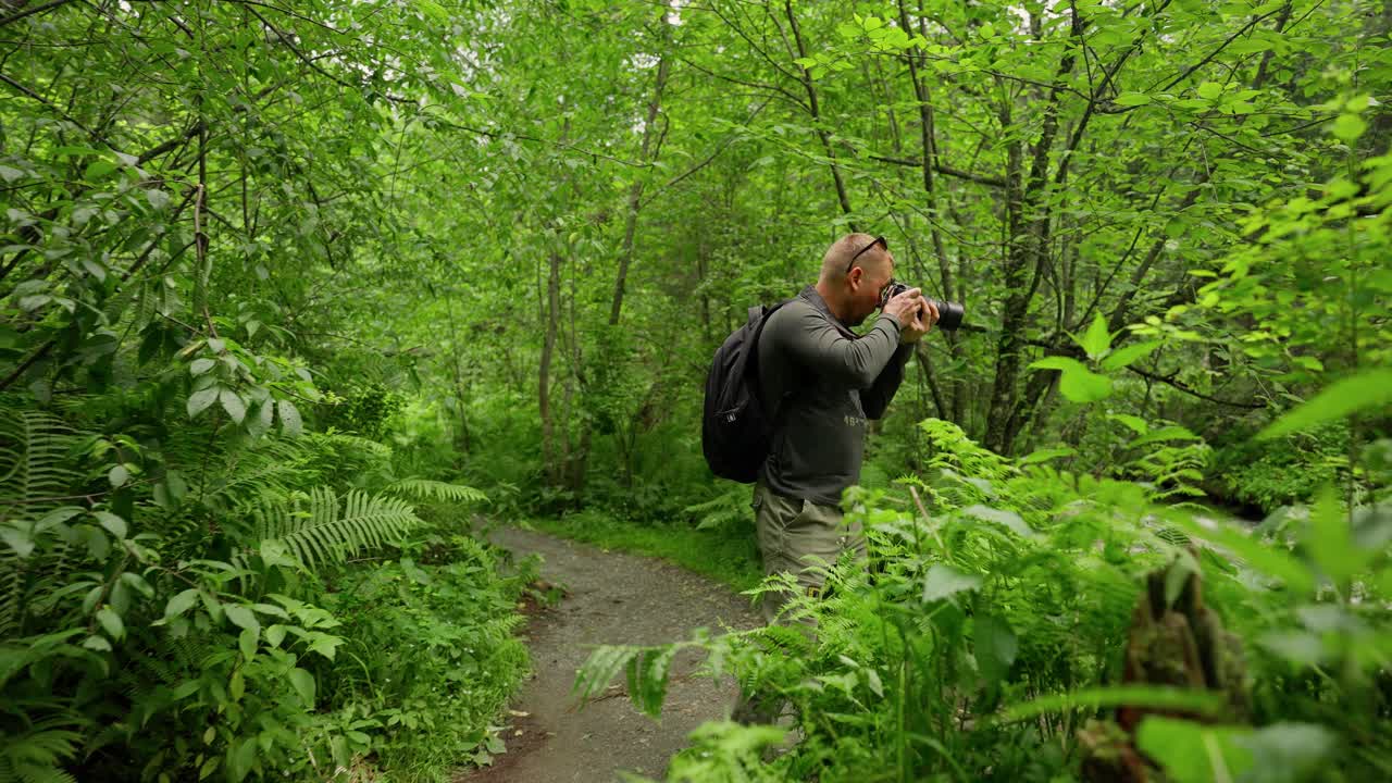 Photographer taking photos in a lush forest