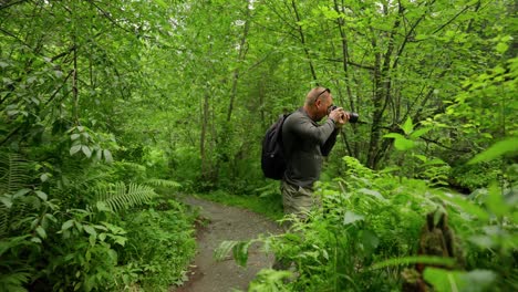 photographer taking photos in a lush forest