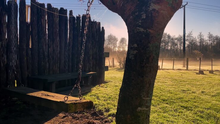 Un'asse di legno pende da un albero vicino a una recinzione di legno in un prato con una fattoria in lontananza