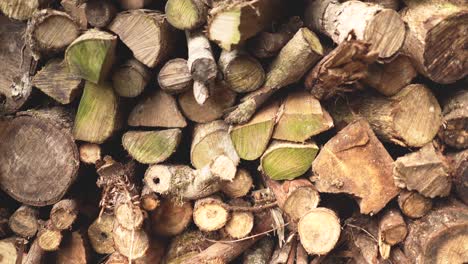 montón de troncos de madera apilados