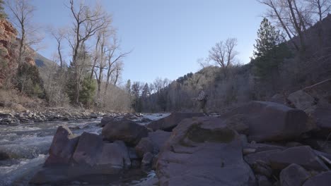 man enjoying nature and flyfishing small stream