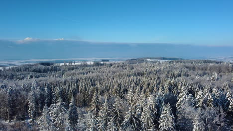 Soleado-Paisaje-Forestal-De-Invierno-Bajo-El-Cielo-Azul-En-El-Bois-Du-Jorat-Cerca-De-Lausana-En-Vaud,-Suiza---Toma-Aérea-De-Drones,-Panorámica