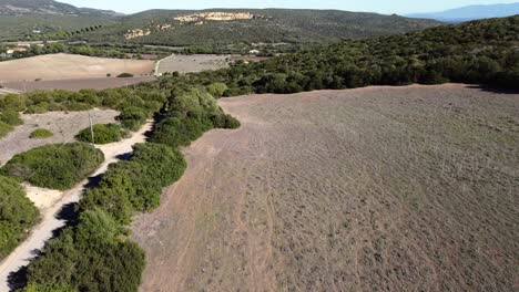 Aerial-drone-view-of-dry-agricutural-field-on-a-sunny-summer-morning,-forward