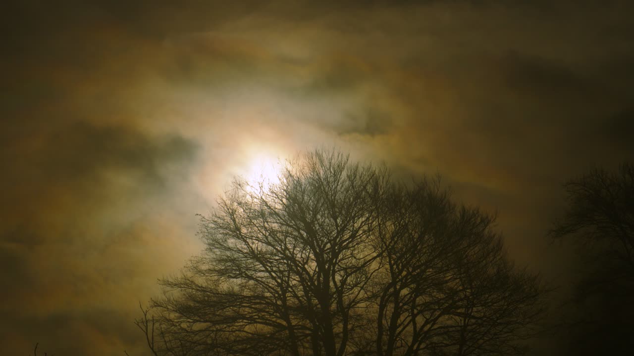 Sunrise behind fast moving hazy volumetric clouds with winter bare trees creating mysterious horror tone. Great for foreshadowing or weather-related projects