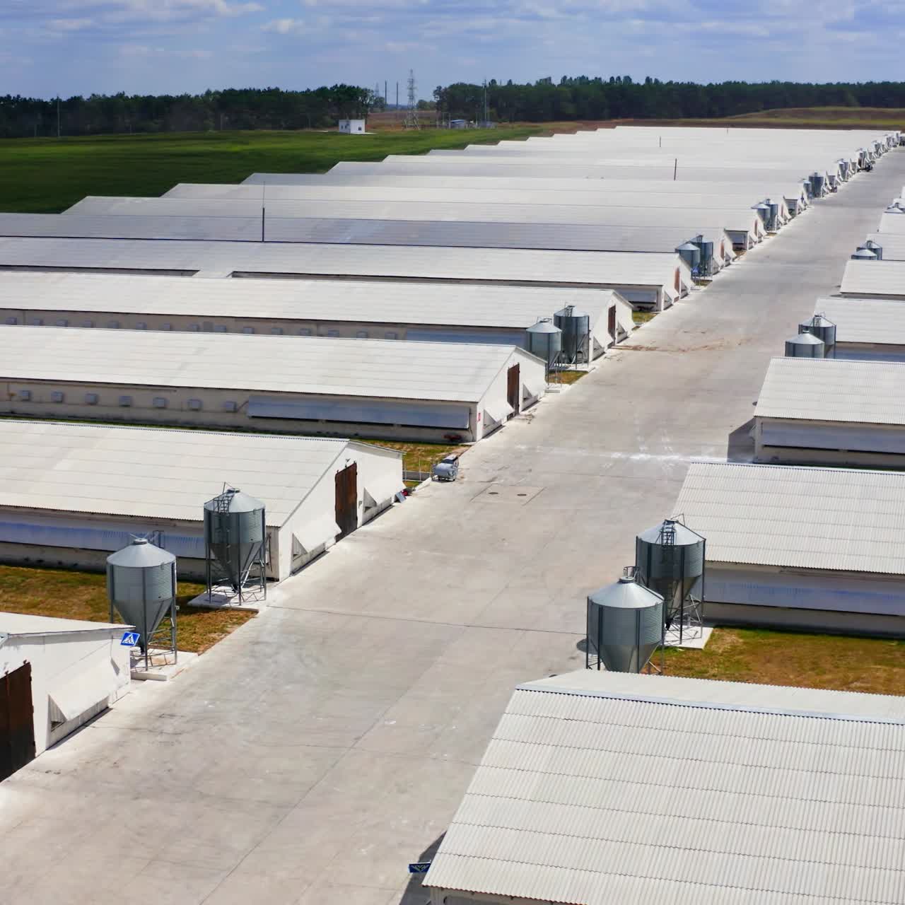 Storehouses in rural area. Warehouses for poultry growing. Countryside industry. Rural place. Farming facilities