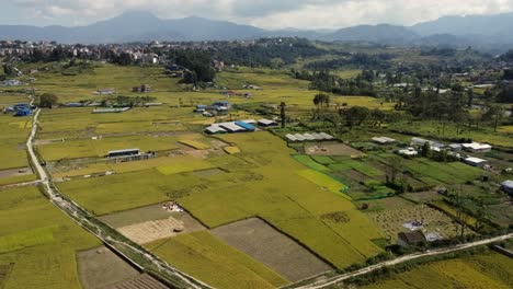 a video of the beautiful rice field terraces ready for harvest in nepal with the clouds passing overhead and people working in the fields