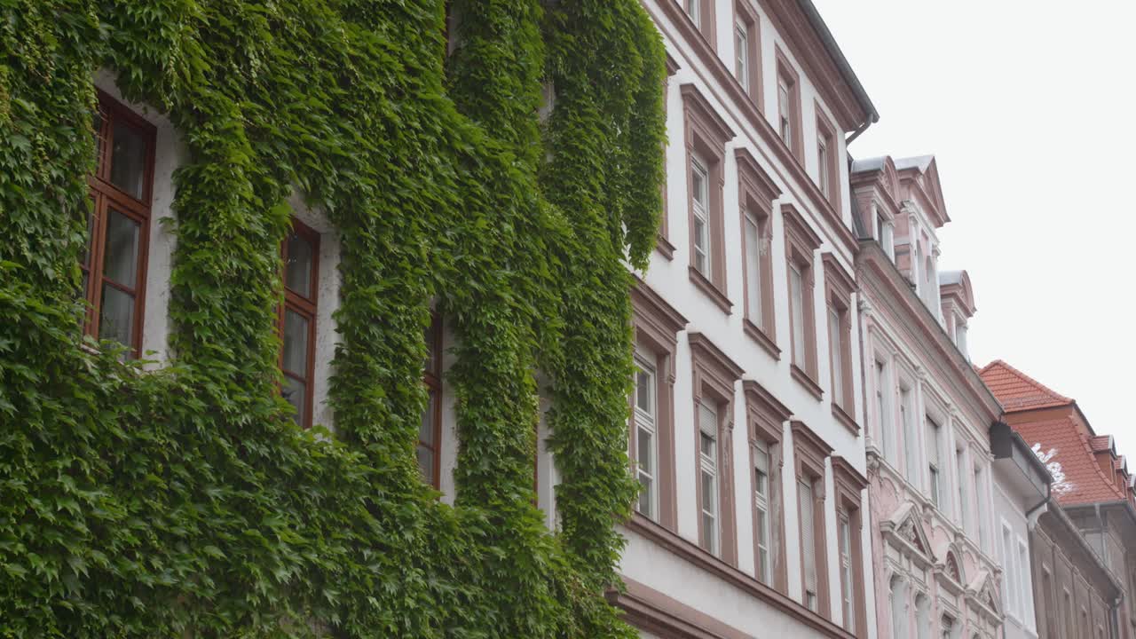 Closeup shot of architecture details of buildings in Saarbrucken, Germany during daytime. Climber plants on building. 4k.