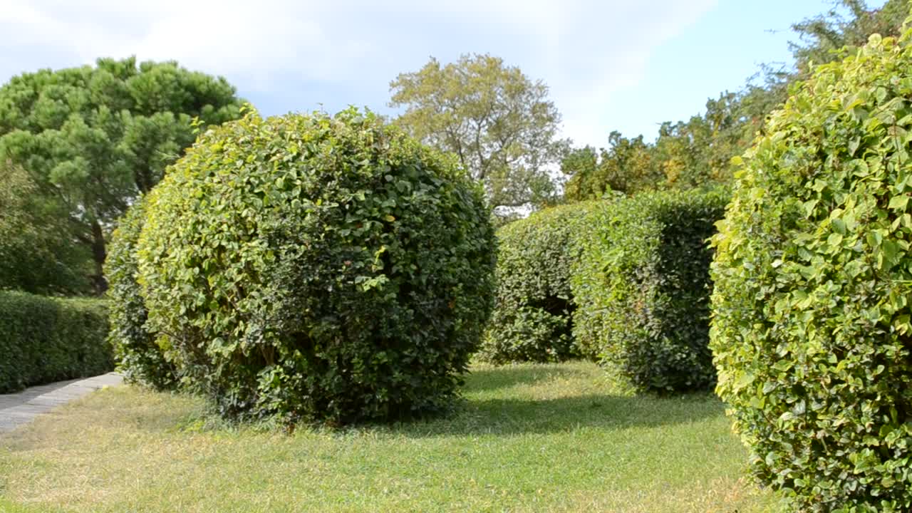 parque