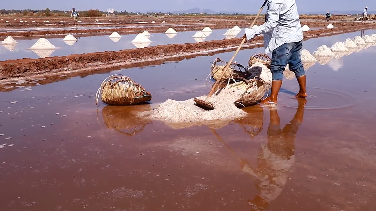 trabajadores de campo de sal en kampot camboya cosechando sal a mano, muestra el sustento local y la cultura del pueblo khmer