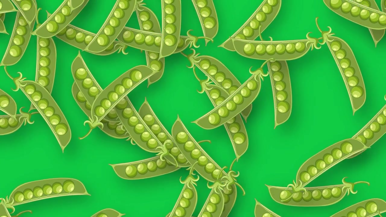Groene erwtenpeulen vallen en tuimelen over een effen groene achtergrond in gestileerde 2D-animatie.