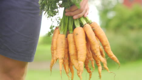 hands holding orange carrots while walking forward at farmers hay market selling root fruits vegan vegetarian plant based food eating healthy active melon salad fresh potato bunny european summer sun