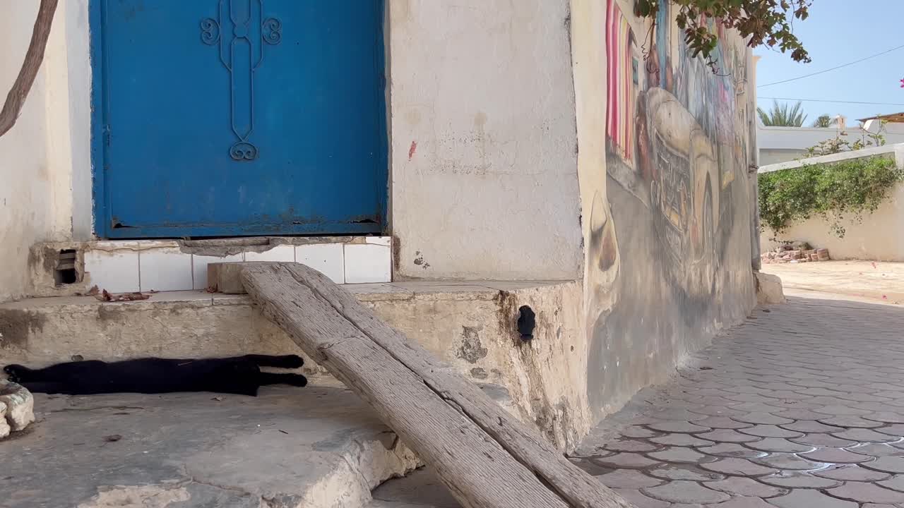 A black cat lies peacefully near a blue door on a sunny day. The colorful mural on the wall adds charm to the quiet street where this scene unfolds