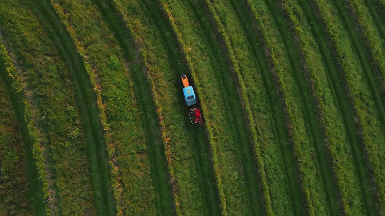 conducción de tractores entre viñedos