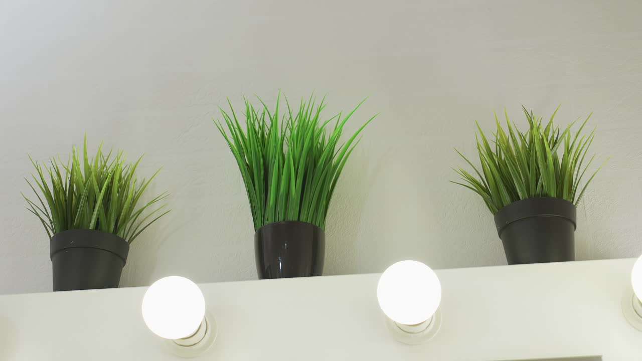 Three green indoor plants in black vases placed above mirror cabinet with white glowing bulbs underneath, creating a fresh and clean atmosphere in stylish salon environment with soft lighting