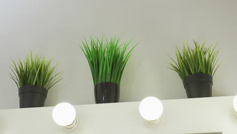 three green indoor plants in black vases placed above mirror cabinet with white glowing bulbs underneath, creating a fresh and clean atmosphere in stylish salon environment with soft lighting