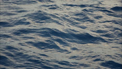 sea waves at twilight, cinematic slow motion, full frame