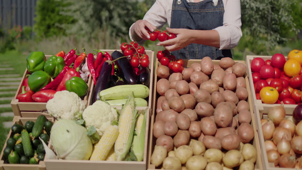 한 여성이 농가 시장에서 거래하는 카운터에 채소를 놓고 있다. 전면에는 감자 상자가 있다.