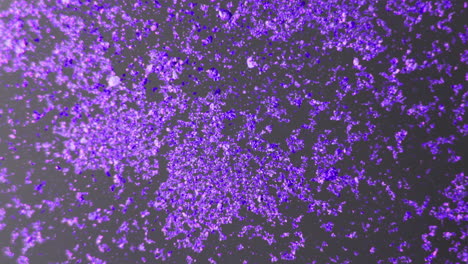 purple particle abstract background