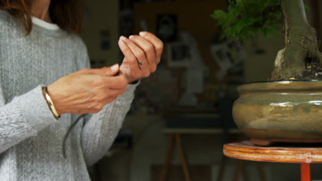 woman trimming leaf of bonzai plant 4k