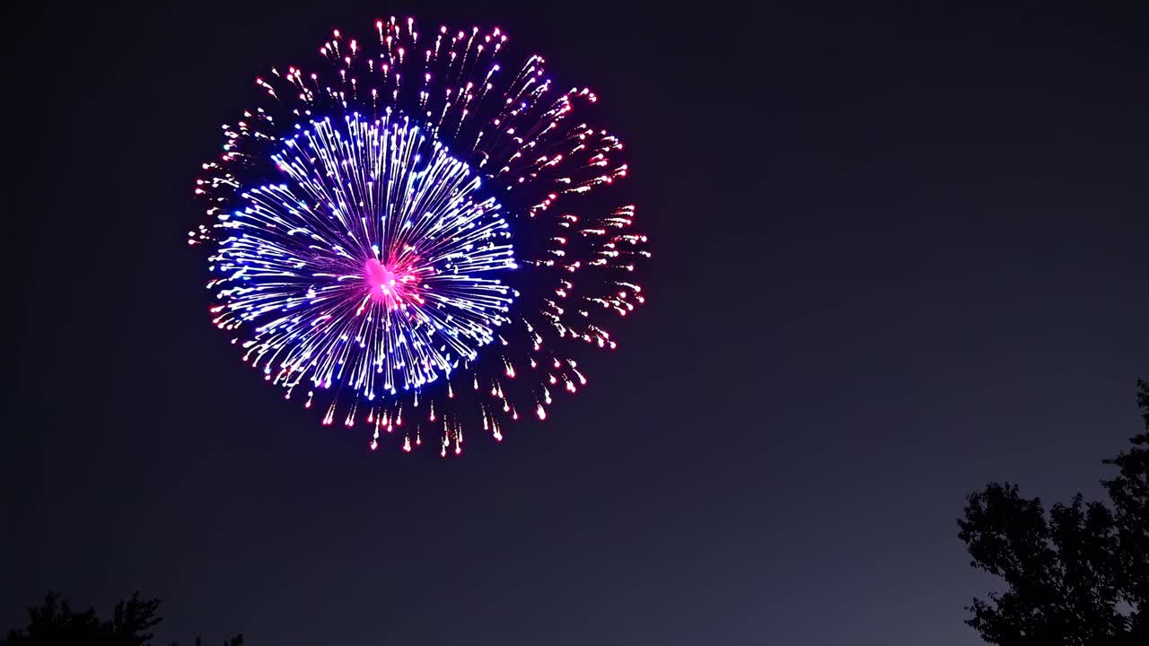 Un vivace spettacolo di fuochi d'artificio catturato da un angolo basso, che mette in mostra colorate esplosioni su uno sfondo notturno