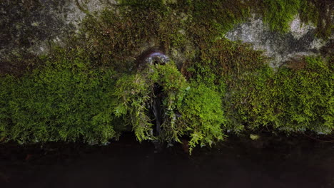 Vertido-De-Agua-De-Tubería-De-Cuenca---Tiro-De-Cardán