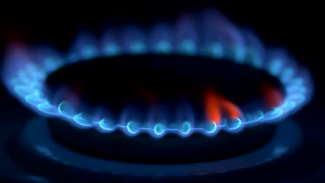 gas stove firing up with blue flame in the darkness. uhd