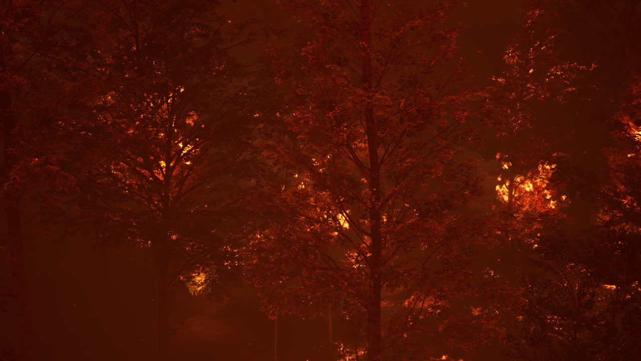 산불 이 숲 에서 땅 을 태우고 있다