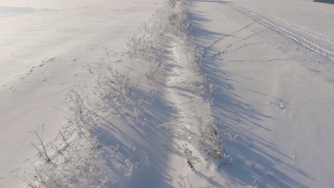 Low-angle-aerial-flight-over-winter-landscape-with-frozen-bushes-on-ground