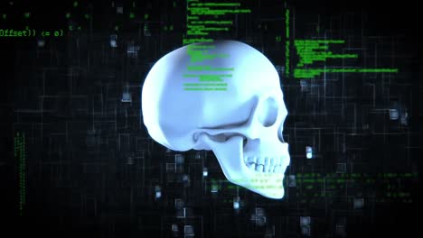 Digital-animation-of-a-rotating-skull