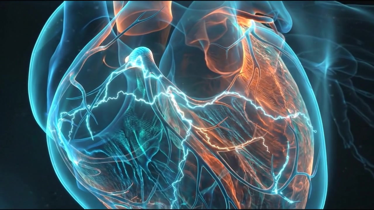Gastrik damar ağına sahip insan midesi 3D hologramı