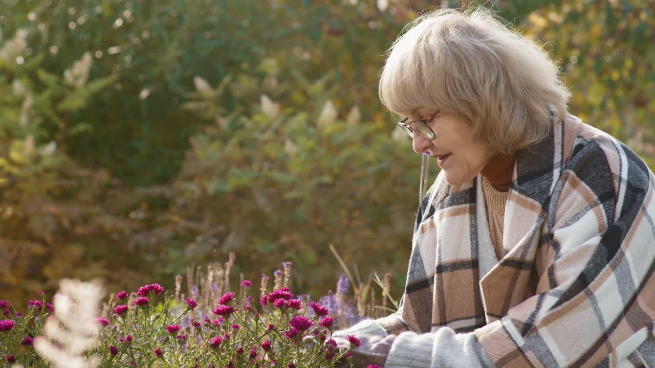 Elderly Woman Gardening in the Fall