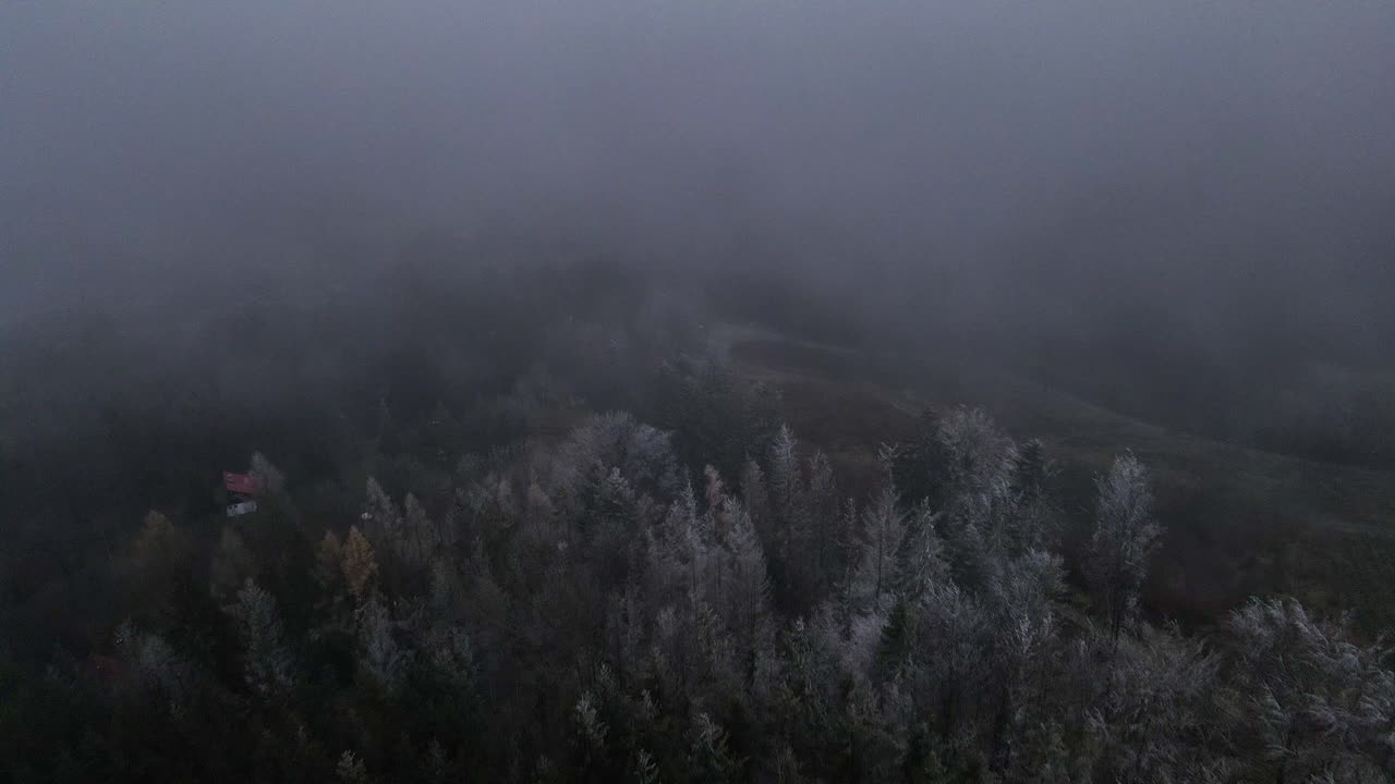 在冬天晚上在厚霧下飛過風景和森林