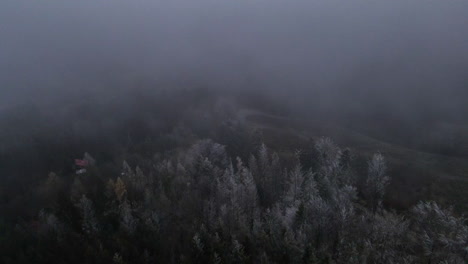 flying over the landscape and forest under the thick fog around during the winter evening