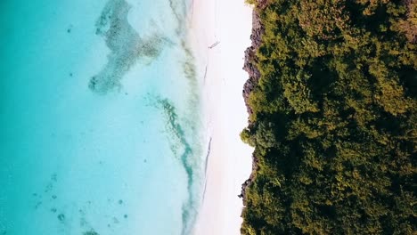 perfect aerial flight bird's eye view top drone shot