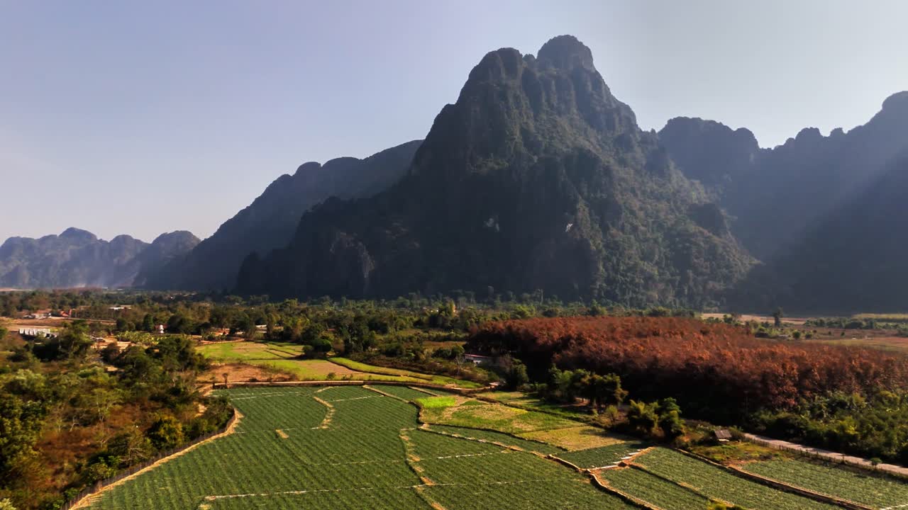 Passaggio basso di drone sopra campi di riso verde brillante sotto le imponenti scogliere calcaree di Vang Vieng, Laos, che evidenzia il drammatico paesaggio carsico e i terreni agricoli rurali coltivati