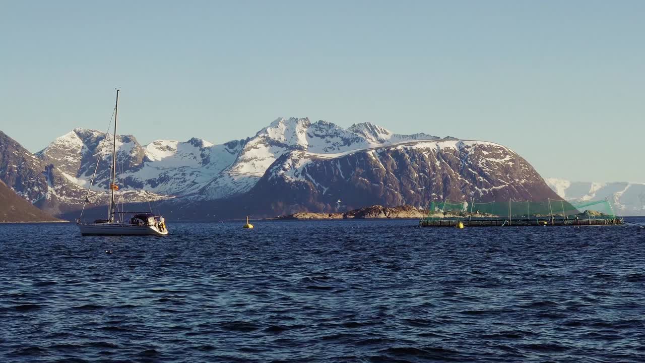 노르웨이의 연어 농장과 요트