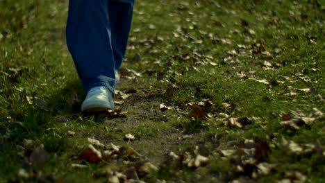 woman walking on a path in autumn