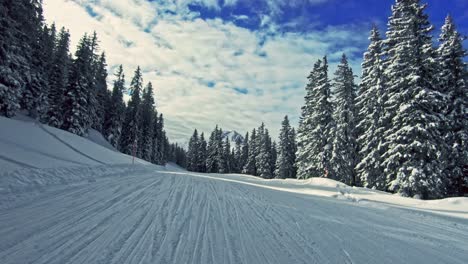 Going-down-the-ski-trail