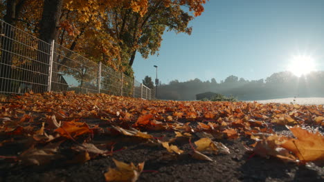 hermoso follaje otoñal cayendo sobre un camino vacío junto al campo dentro de un pueblo aislado en schönaich, alemania, europa