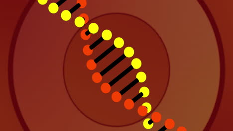 animación de cadena de adn y círculos rojos sobre fondo rojo