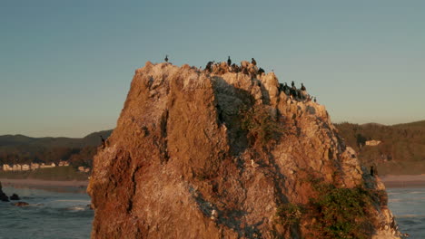 rising aerial shot of sea stack used by nesting sea birds