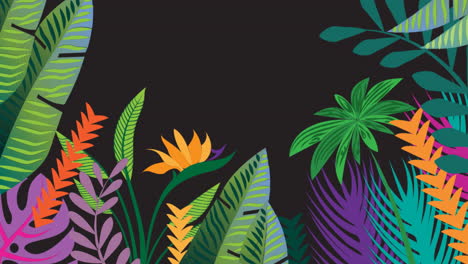 animation of tropical plant leaves on black background