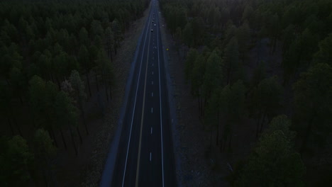 aerial view of straight road traffic between conifer woods in countryside of usa in twilight, revealing drone shot