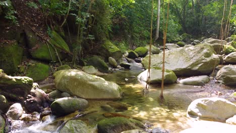 Explorando-La-Jungla-Y-La-Vista-Del-Agua-Desde-Una-Cascada-Que-Baja-Por-Las-Rocas