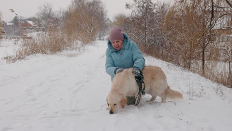 elderly woman and golden retriever in a snowy park