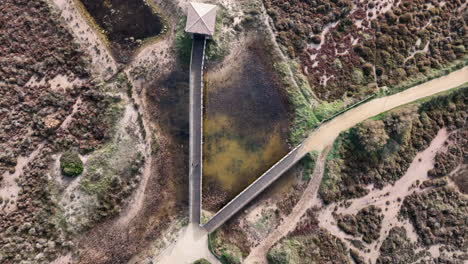 costa brava bird watching nature reserve wooden boardwalk bridges aerial view descent to marshland