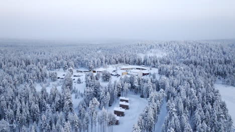 panoramic drone shot around the salla wilderness park, winter day in finland